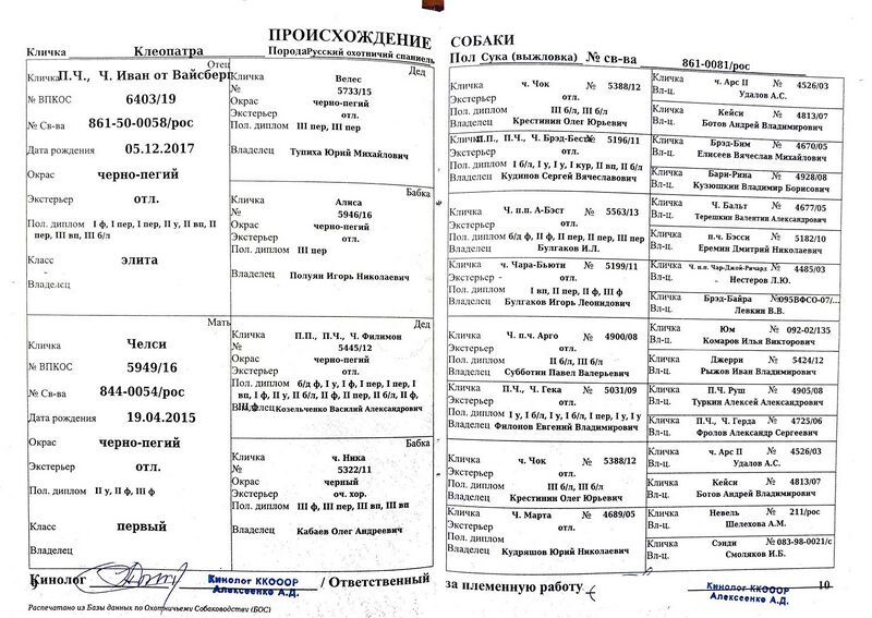 Файл:04 ros kleopatra puzanov sv.jpg