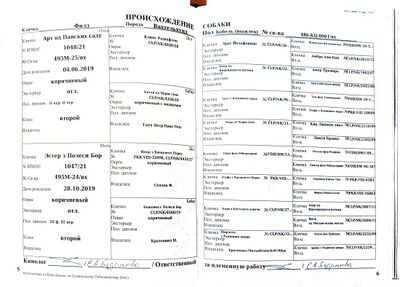 04 vh fild zacepilin syu.jpg