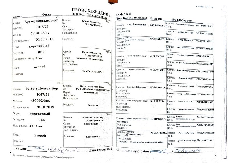 Файл:04 vh fild zacepilin syu.jpg