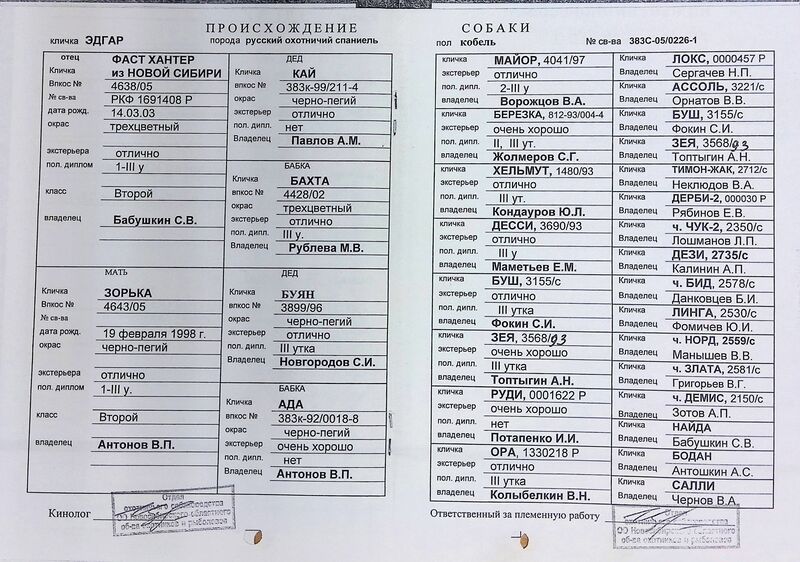 Файл:02 ros ehdgar tolstikov kyu.jpg