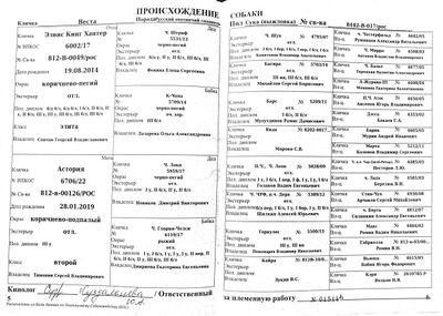 04 ros vesta luk yanenko ps.jpg