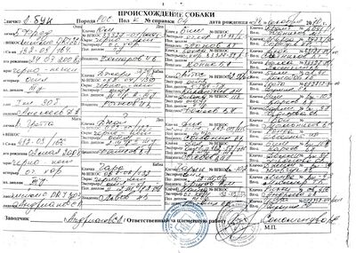 02 ros a buk lepeshin ia.jpg
