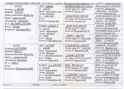 03 ros dusha ohoty brajan suhov yuv.jpg