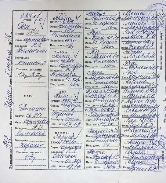 Файл:03 CHarli SHCHelkonogov SN.jpg