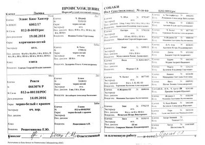 04 ros dymka proskurin sv.jpg