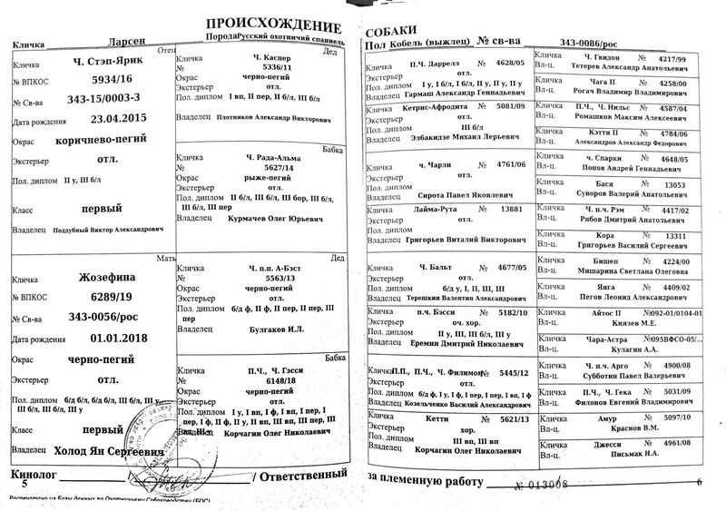 Файл:04 ros larsen plotnikov av.jpg