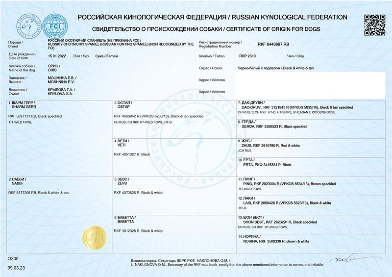 Файл:01 Oris Krylova GA.jpg
