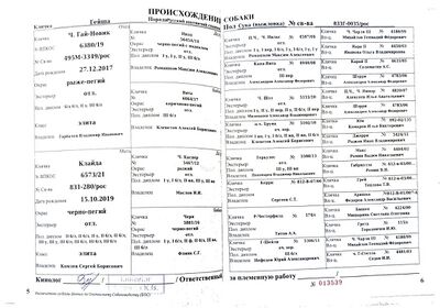 04 ros gejsha petyurenko ai.jpg