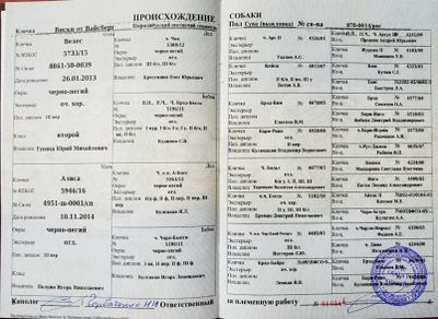 04 Viski ot Vajsberg Lihovid AA.jpg