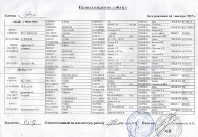 02 Asya Mironov VA.jpg