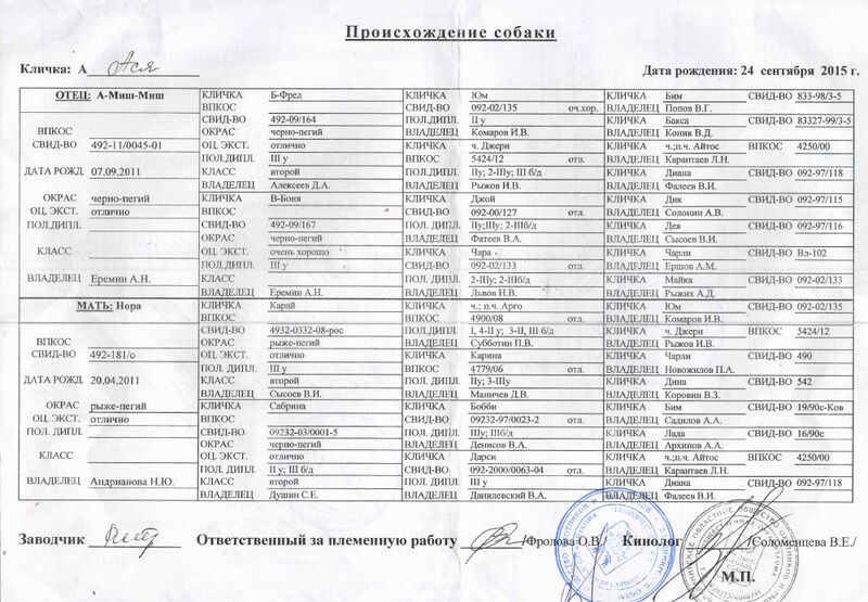 Файл:02 Asya Mironov VA.jpg