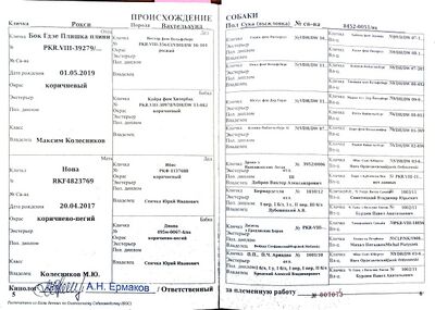 04 vh roksi grebenev av.jpg