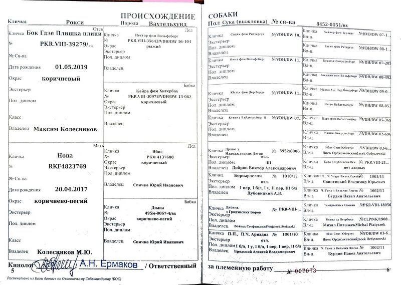 Файл:04 vh roksi grebenev av.jpg