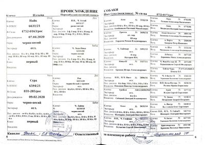 04 ros nehlma seliverstov vs.jpg