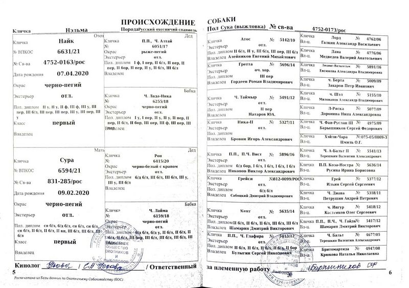 Файл:04 ros nehlma seliverstov vs.jpg