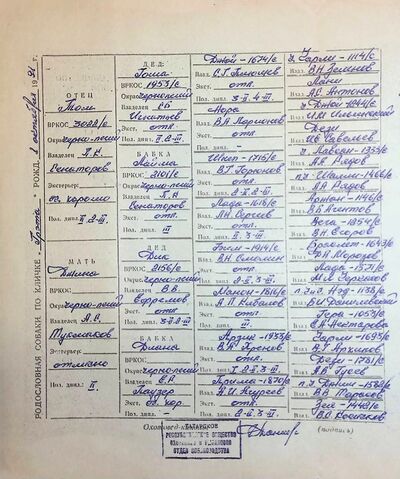 02 ros grehta kafichev vg.jpg