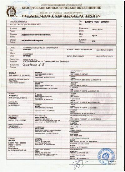 01 ros emi sosnovskaya ln.jpg