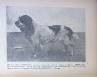 00 sp nora maleev ng.jpg