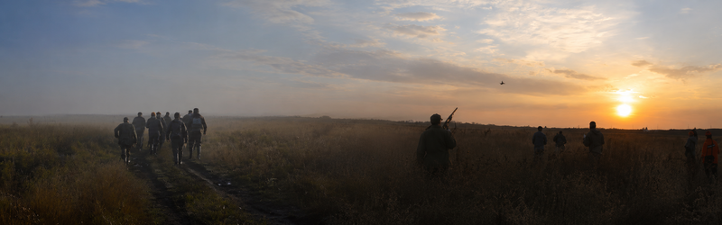 Файл:Vspf banner.png