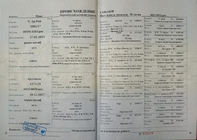 04 Maks Buyanov EA.jpg