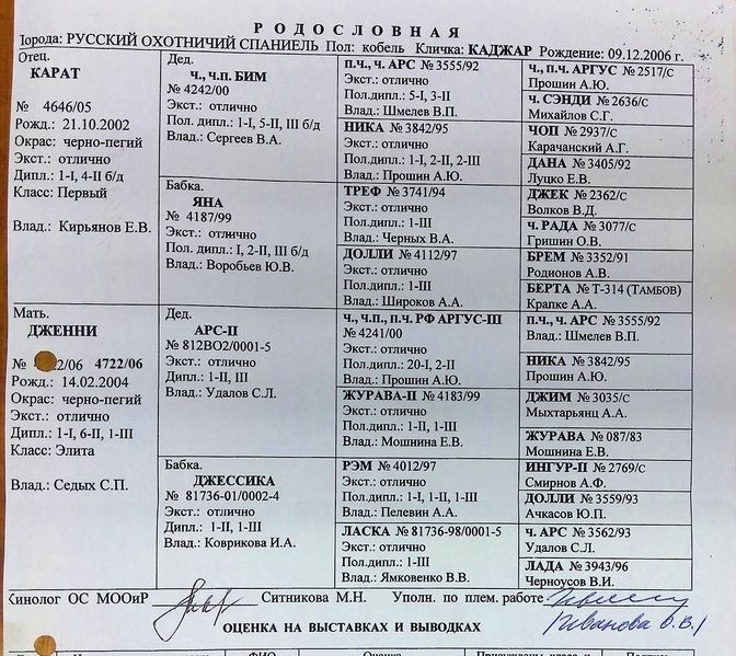 Файл:02 Kadzhar Gorelov AV.jpg