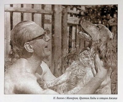 02 ros minor valov na.jpg