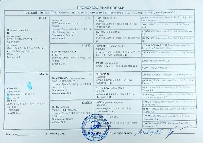 Файл:03 ros berta osadchii vv.jpeg