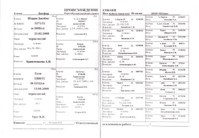 02 ros bosfor ivanova ov.jpg