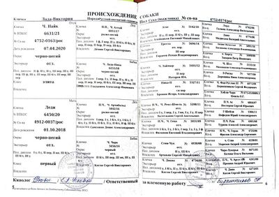 04 ros lada viktoriya kurochkin vl.jpg
