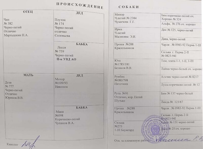 Файл:02 ros grum kozlov vi.jpg