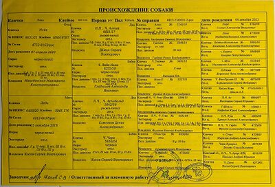 02 ros loki radushkin aa.jpg