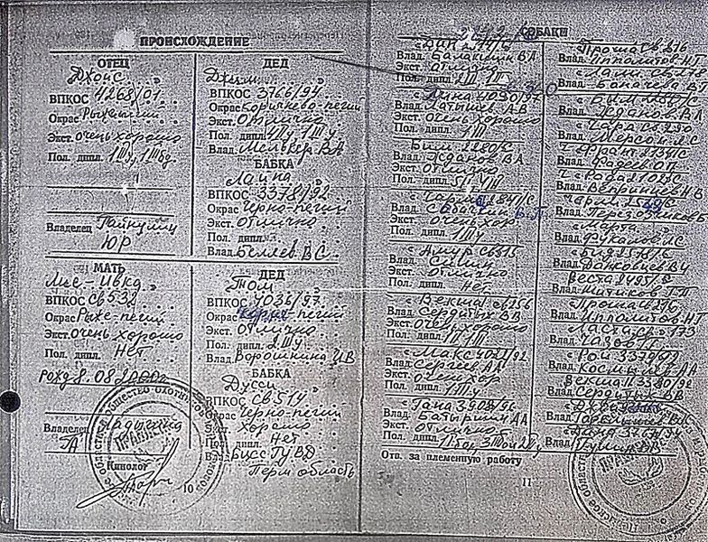 Файл:02 Var'ka Hamov BG.jpg