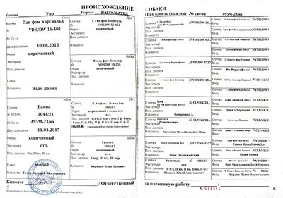 04 VH Uno Tuzov VV.jpg