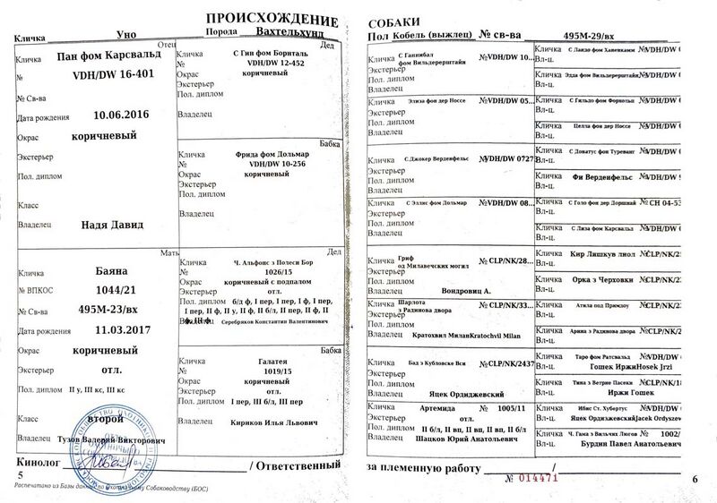 Файл:04 VH Uno Tuzov VV.jpg
