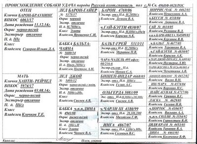 03 ros udacha muratov nn.jpg