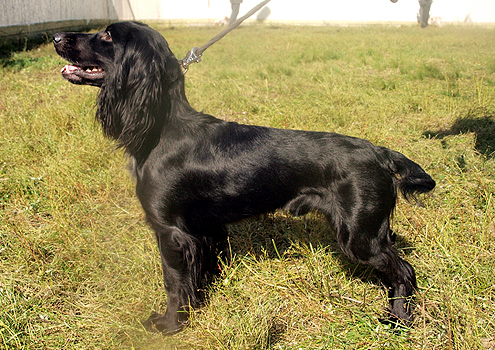 Файл:O-ZRVSOP 2012 Lajgun-Tanaj.jpg