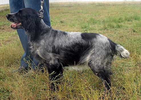 Файл:O-ZRVSOP 2012 Rajda.jpg