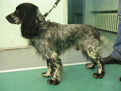 00 ZHurkan-Dor YAshkina LM.jpg
