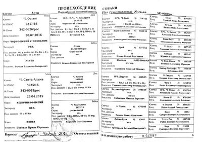 04 ros arti pozdnyakov mv.jpg