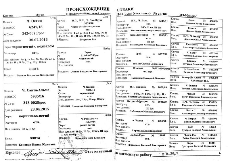 Файл:04 ros arti pozdnyakov mv.jpg
