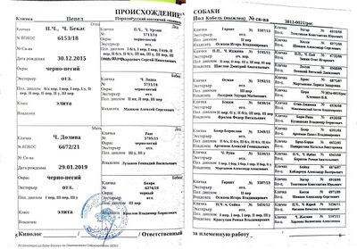 04 ros pepel efimenko vv.jpg