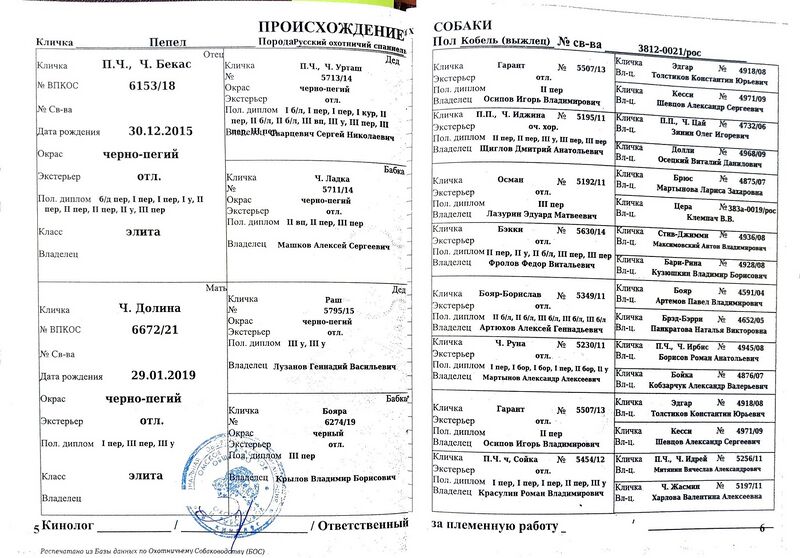 Файл:04 ros pepel efimenko vv.jpg