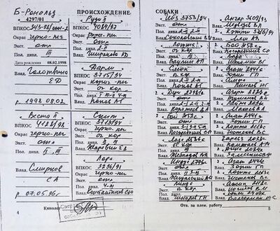 05 ros sparki popov ag.jpg