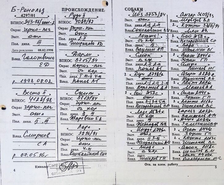 Файл:05 ros sparki popov ag.jpg