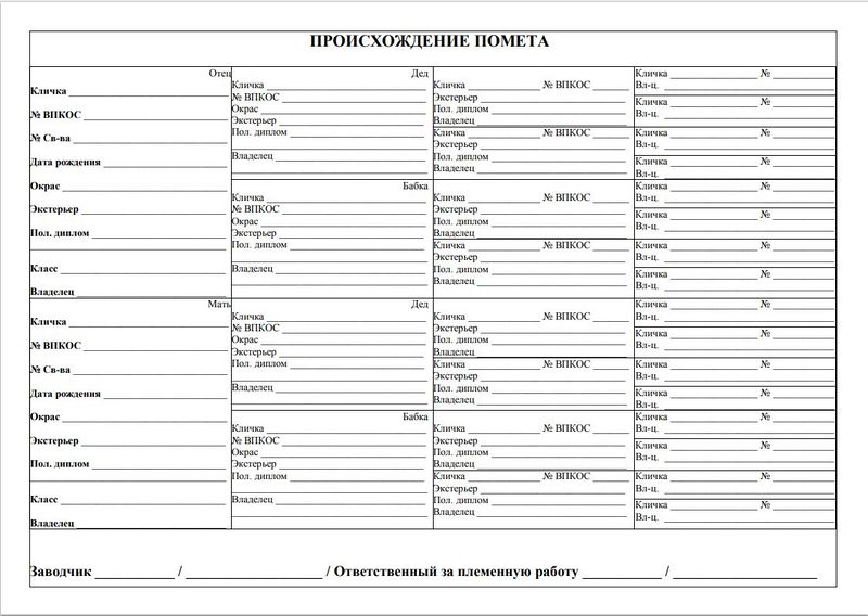 Файл:Общепометная карта 2.JPG