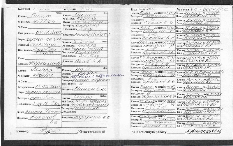 Файл:02 gera galiulin vm.jpg
