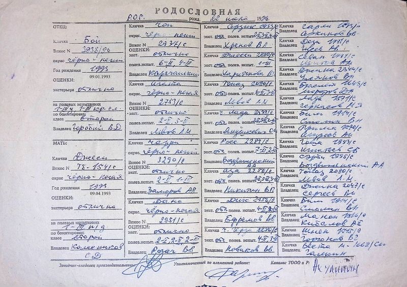 Файл:02 Grej Kuprelov AYU.jpg