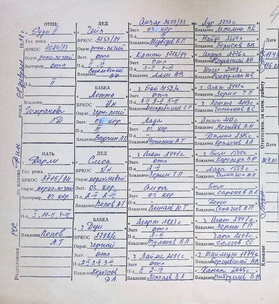 Файл:02 ros dik nemytova vyu.jpg
