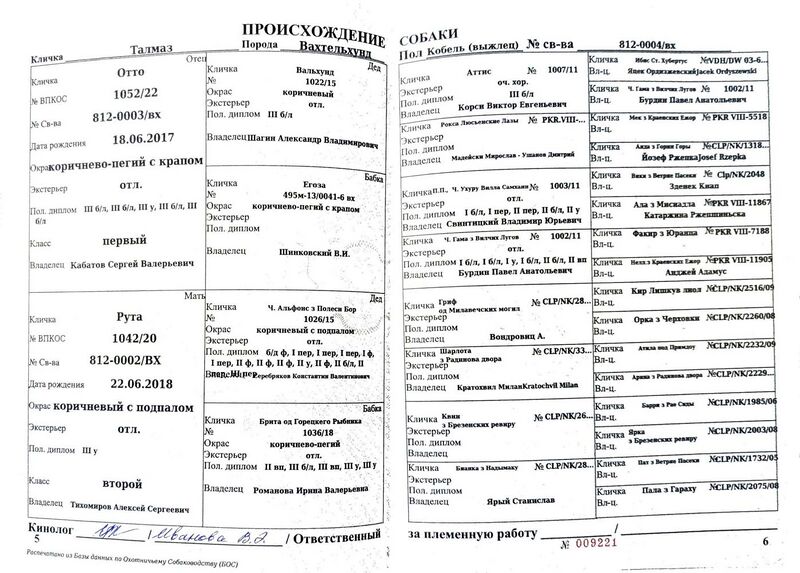Файл:04 vh talmaz strizhak yap.jpg