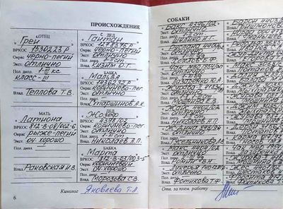 02 Legrej Bosov SB.jpg